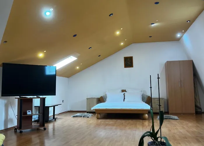 Apartament Central Timisoara