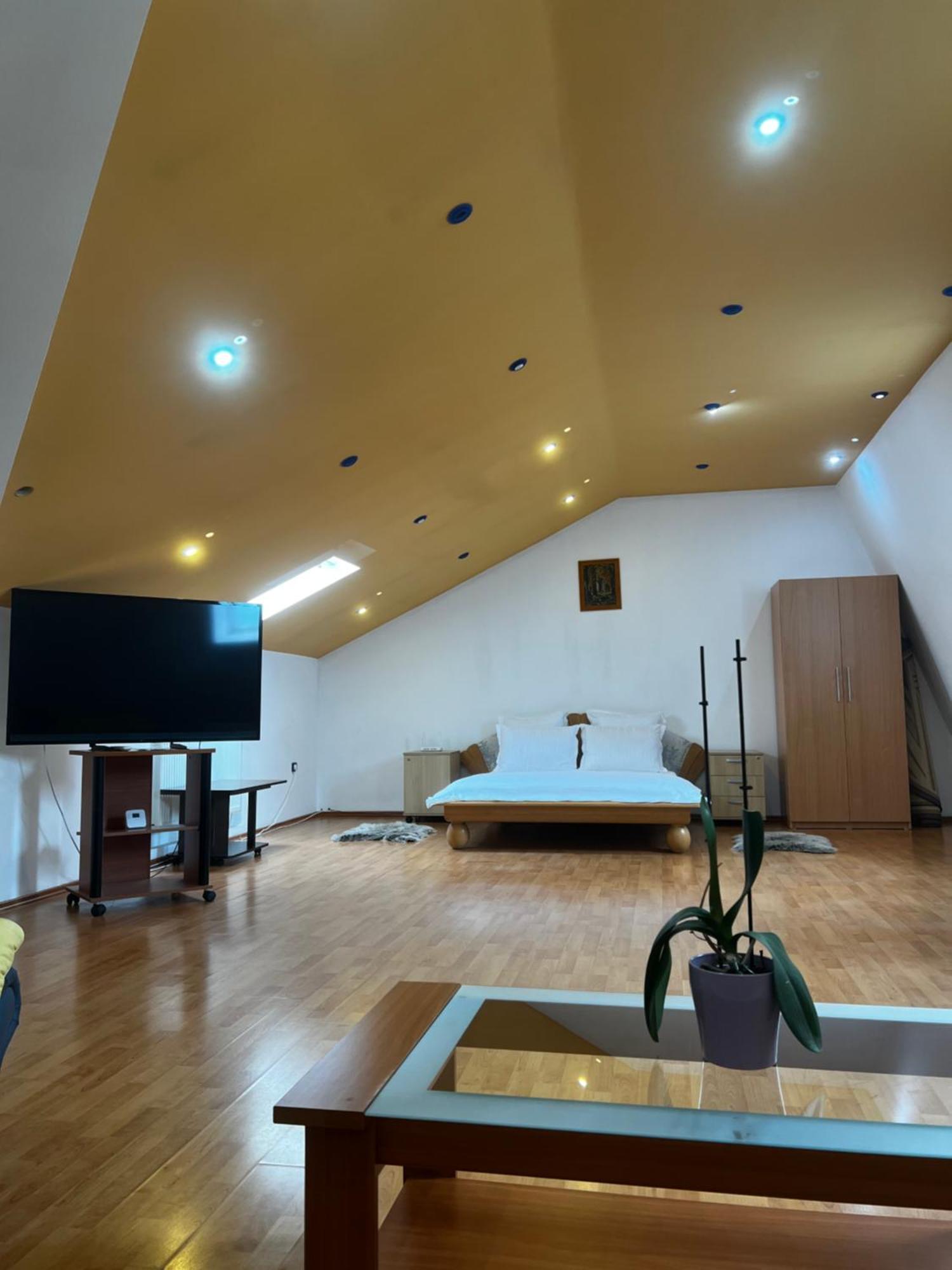Apartament Central Timisoara * Timisoara